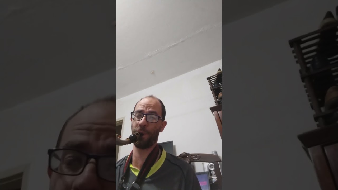 Adoro amar você palheta fibracell N°3