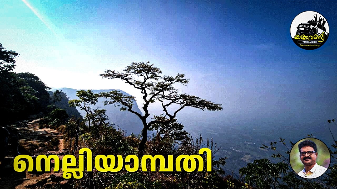 നെല്ലിയാമ്പതി / പാവങ്ങളുടെ ഊട്ടി #nelliyampathy #palakkad