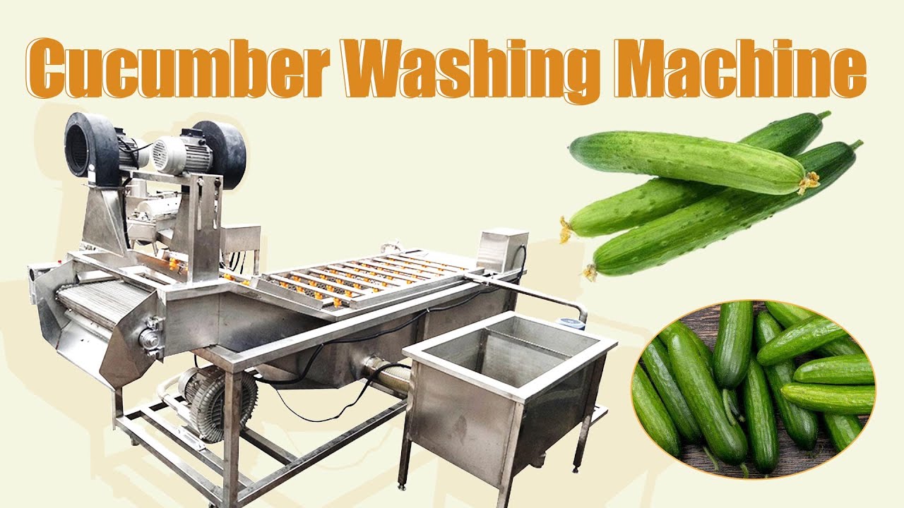 Cucumber Washing Machine Clean Vegetables & Fruits Plant for