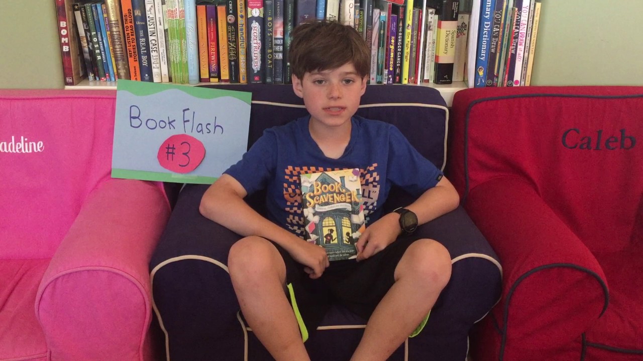 Ethan's Book Flash #3, Book Scavenger (byJennifer Bertman)