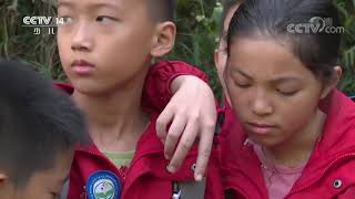 《快乐体验》 20200326 小勇士训练营|CCTV少儿