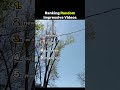 Ranking The Top 5 Random Impressive Videos