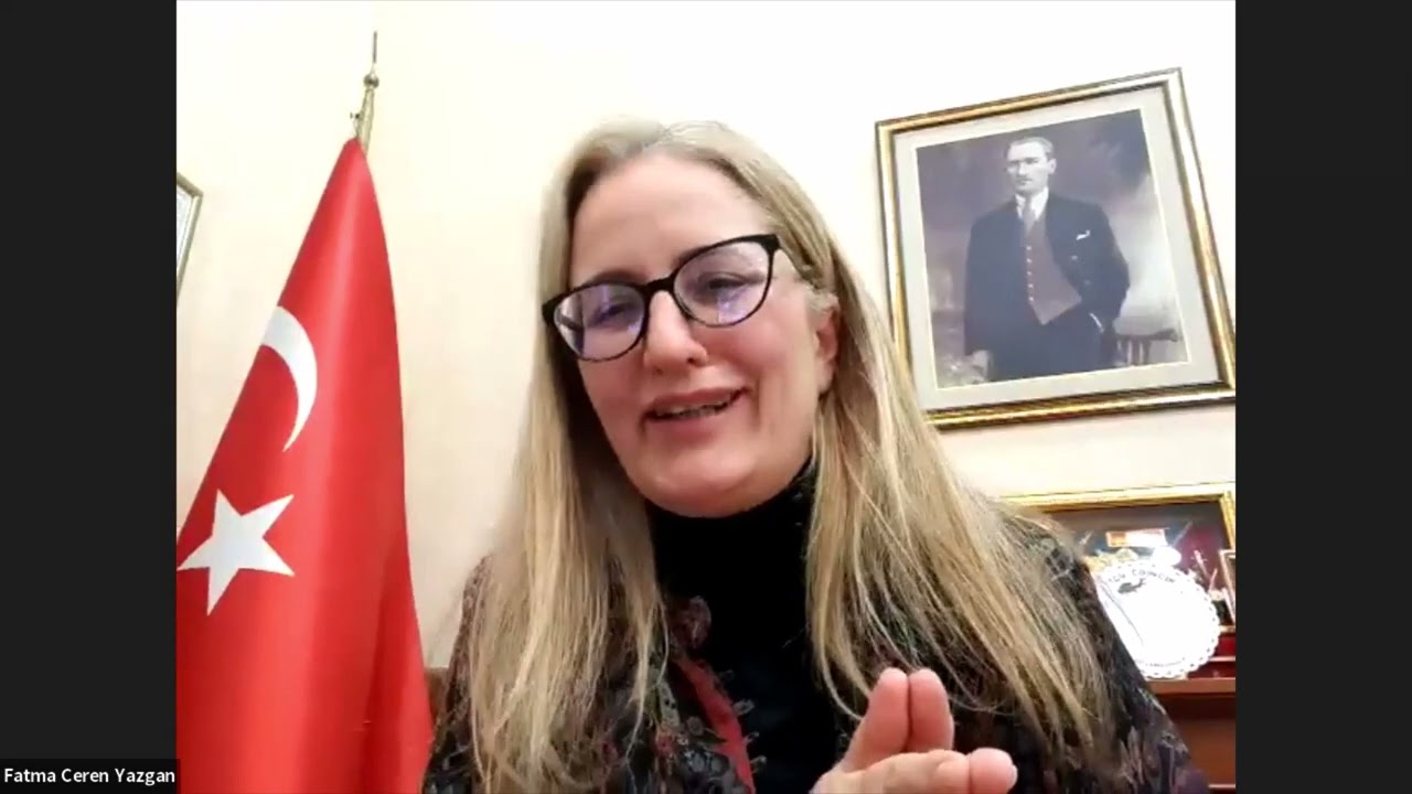 THE SEARCH FOR REGIONAL STABILITY AND COOPERATION IN THE SOUTH CAUCASUS