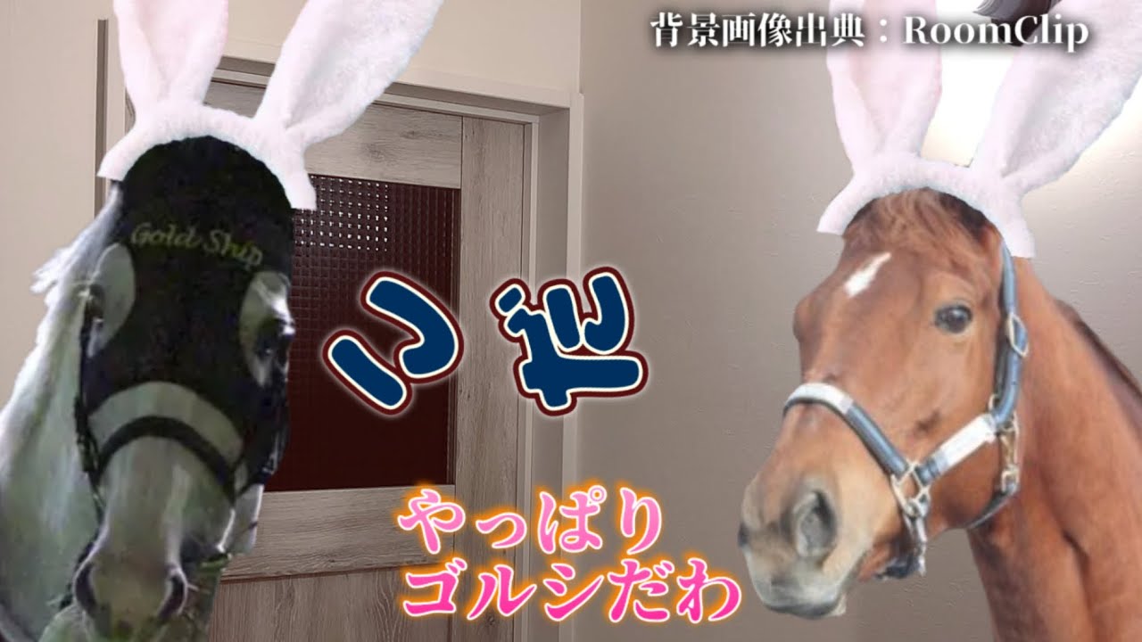 『ブラックゴルシ～たった一つの願い』毎日ゴルシ day366