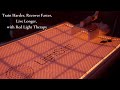Red Light Therapy for Performance and Recovery