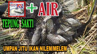 UMPAN JITU IKAN NILEM/MELEM || TEPUNG SAKTI ANTI BONCOS