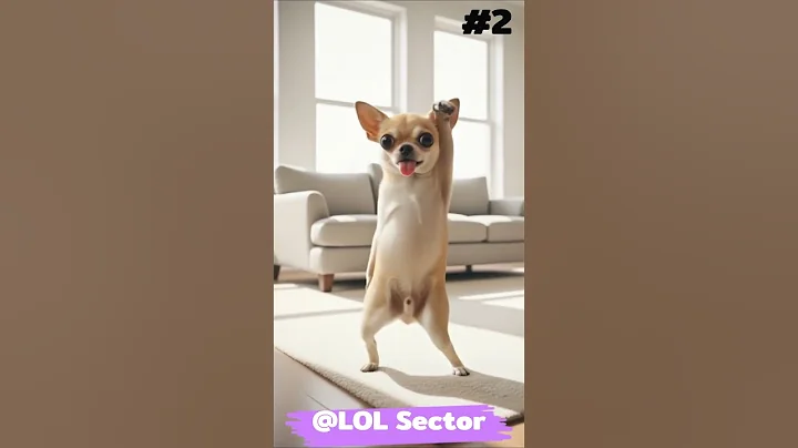 Video 11762851: sphynx, cat