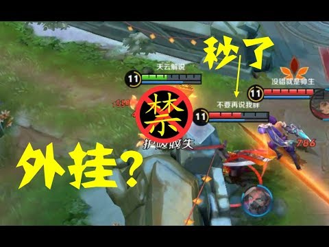 王者荣耀：这个5888英雄已成为代练新宠，敌方：这伤害是开挂了？