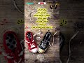وقتیک قلب و عقل به جدال می روند آرامش لایک اکسپلور ترند هایده هوش مصنوعی 