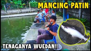 MANCING PATIN DI TELAGA INDAH MAT DOLARR!! TENAGANYA POLL!!