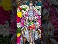 🌺முருகன் துணை🌺Tamil god murugan songs 🦚🦚 #shortsfeed #shorts #murugansongs  #muruganthunai  #murugan