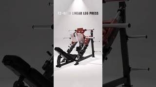 TZ-8808 Linear Leg PressBuilt for commercial gyms.