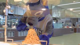 Famous Wolfie Gets Accepted to UWG! Profile