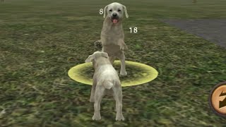 Dog Sim Online Singleplayer Part 1 - New Dog in the Neighborhood screenshot 2