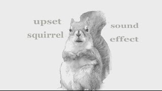 The Animal Sounds: Upset Squirrel / Sound Effect / Animation