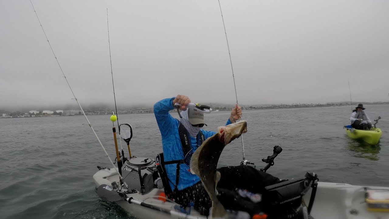 🐟🐟HALIBUT EVERYWHERE🐟🐟 