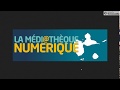 Mdiathque numrique de guadeloupe  prsentation