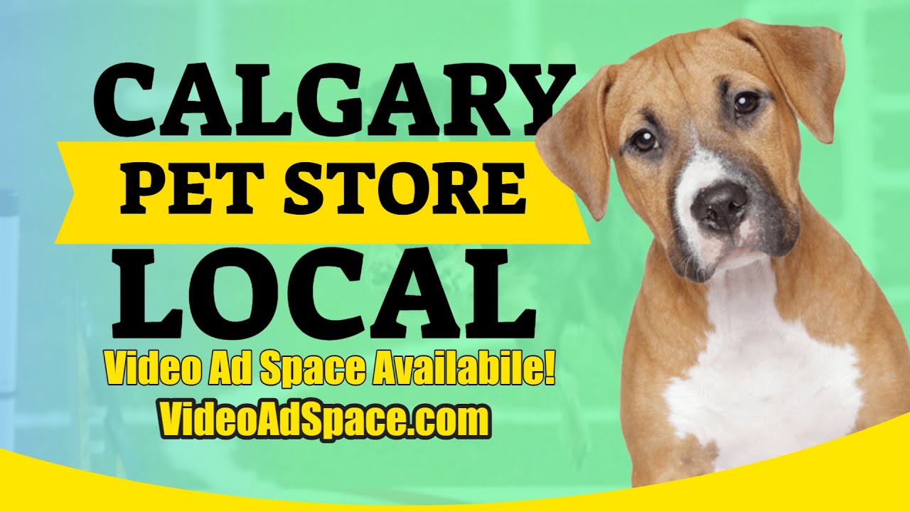 Pet Store Shawnessy Calgary Pet Store Near Me Popular Video YouTube