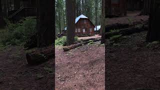 Harvey West Cabin