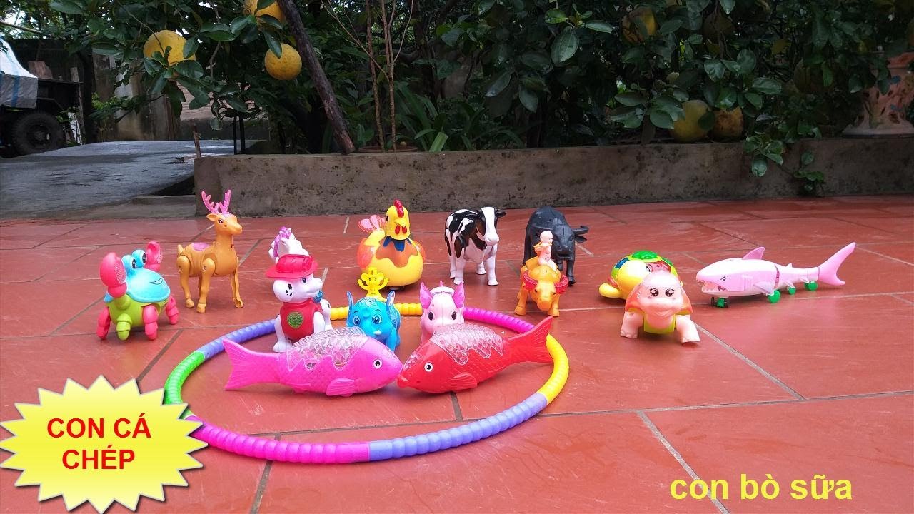 con bò, con ngựa, con huơu, con trâu, con lợn, con... - youtube