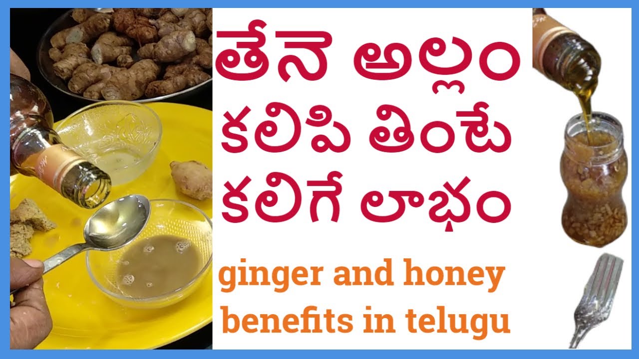 తేనె అల్లం కలిపితింటే కలిగే లాభం ginger and honey benefits in telugu