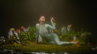 DALEE - In The Woods ( Visualizer )