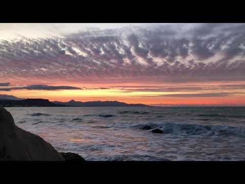 Seashore sounds #calming