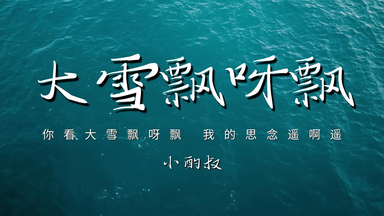 小酌叔 - 大雪飘呀飘「你看大雪飘呀飘 我的思念遥啊遥太阳落下 月亮也静悄悄」【动态歌词/PinyinLyrics】♪