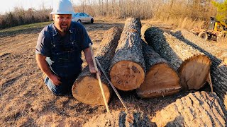 Scaling and grading logs…Tie logs vs Grade logs!
