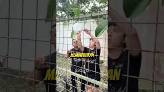 Ngasih Tantangan, Langsung Dibikin Diam.