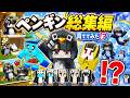 ググガガペンギンに生まれ変わってしまうマインクラフト【まいくら/マインクラフト】