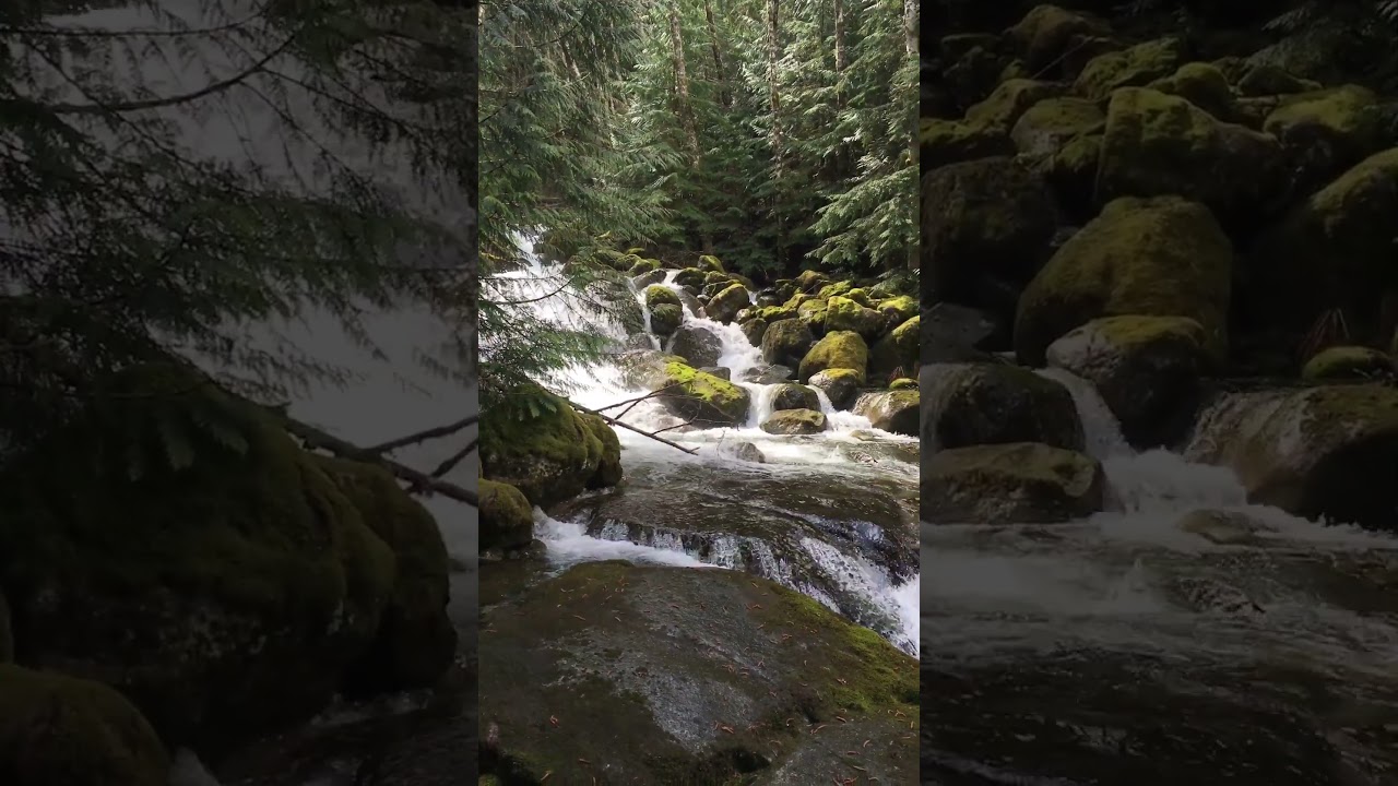 Thundering Sunlit | Humpback Creek | Annette Lake | North Bend, WA  