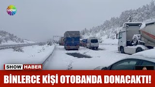 Binlerce Kişi Otobanda Donacaktı