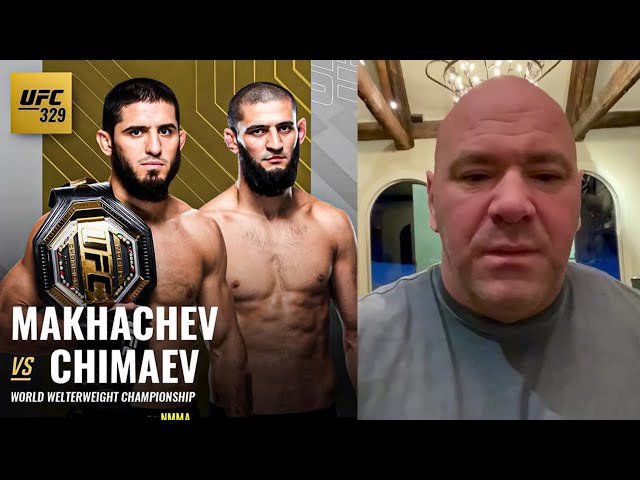 Хамзат Чимаев против Ислама Махачева за титул UFC ! Следующий соперник Махачева !