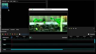 STOP MOTION CON OPENSHOT