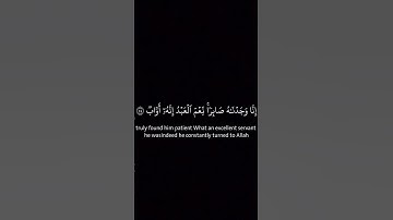 ﴿إِنَّا وَجَدْنَاهُ صَابِرًا﴾#رعد_الكردي#سورة_ص#كروما_شاشة_سوداء#كرومات_قرآن#قرآن#quran#سبحان_الله