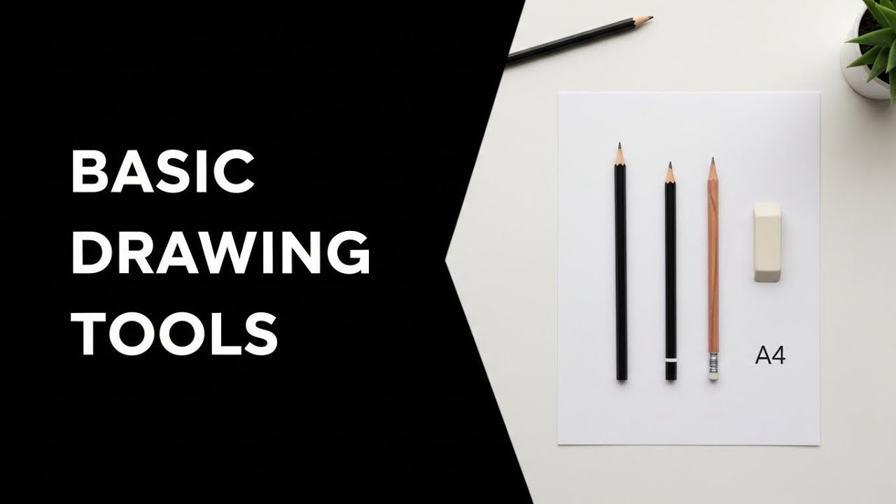 	“Basic Drawing Tools for Beginners 🎨”