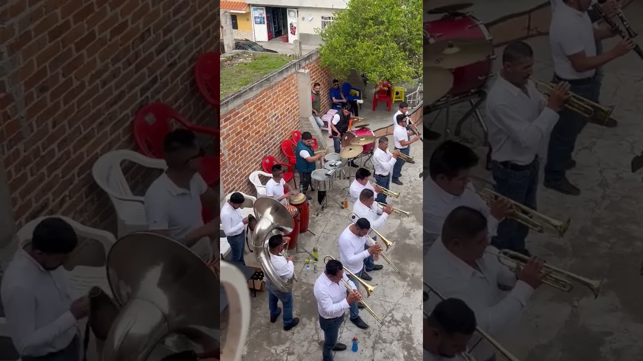 Banda Medalla de la gavia gto mambo #8 palomazo tarolas