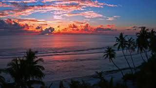 Intro - Tropical Beach at Night with Ocean Wave Sounds: Time to Relax, Sleep, Mediate, Study