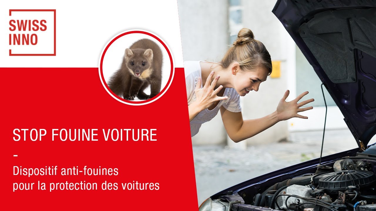 Stop Fouine pour Voiture