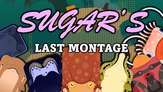 My Last Montage... Giant Pacific Octopus Pro Clips Other Animals Deeeep.io