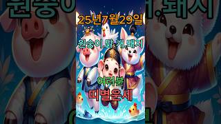 오늘의 운세 #복 #좋은글 #오늘의운세 #띠별운세 #원숭이띠 #닭띠 #개띠 #돼지띠