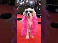 #song not original one of the video viral short ❤️
