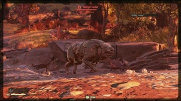 *Dog Fight!* - Fallout 76 Random Encounter