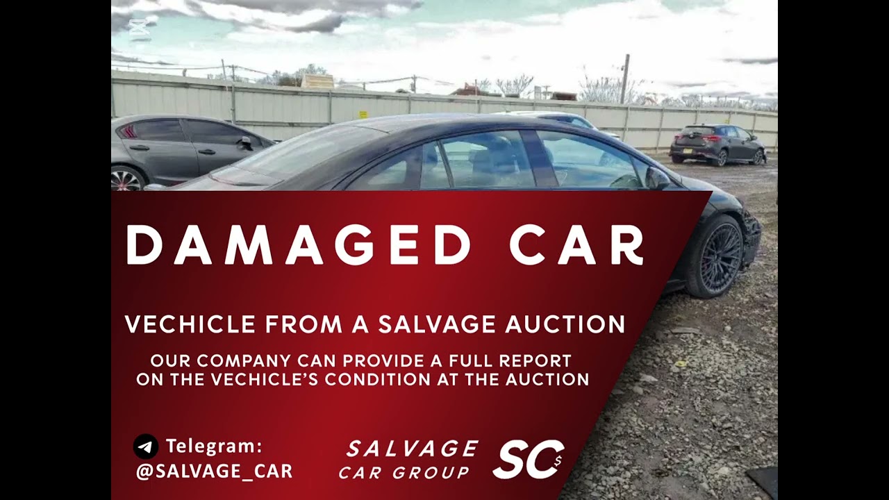 W1KEG5DB6PF023290. Mersedes