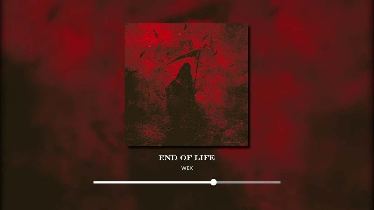 End of Life - WEX ( Perfect Music Videos For Screen Casting✨ )