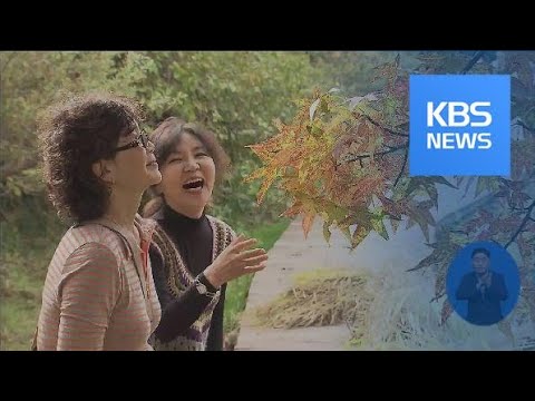 천리포수목원 이색 단풍 ‘눈길’…깊어가는 가을 / KBS뉴스(News)