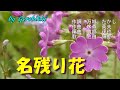 「名残り花」/池田輝郎 Japanese Taishogoto 大正琴  /Gerobikki