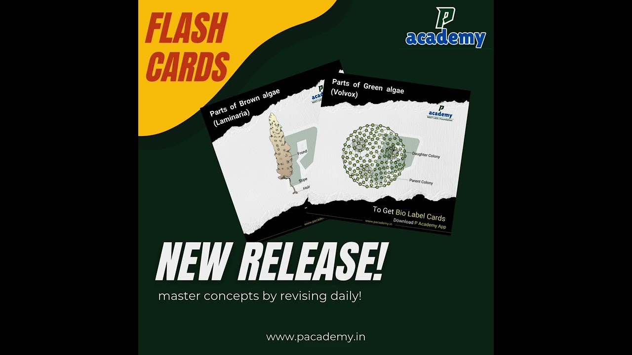 The Essential Study Tool, Conquer Biology, One Card at a Time. 