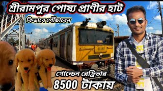 Serampore Pet Market কিভাবে আসবেন | Shrirampur Pet Market | Recent Puppy Price 2023 | Dog Price 2023